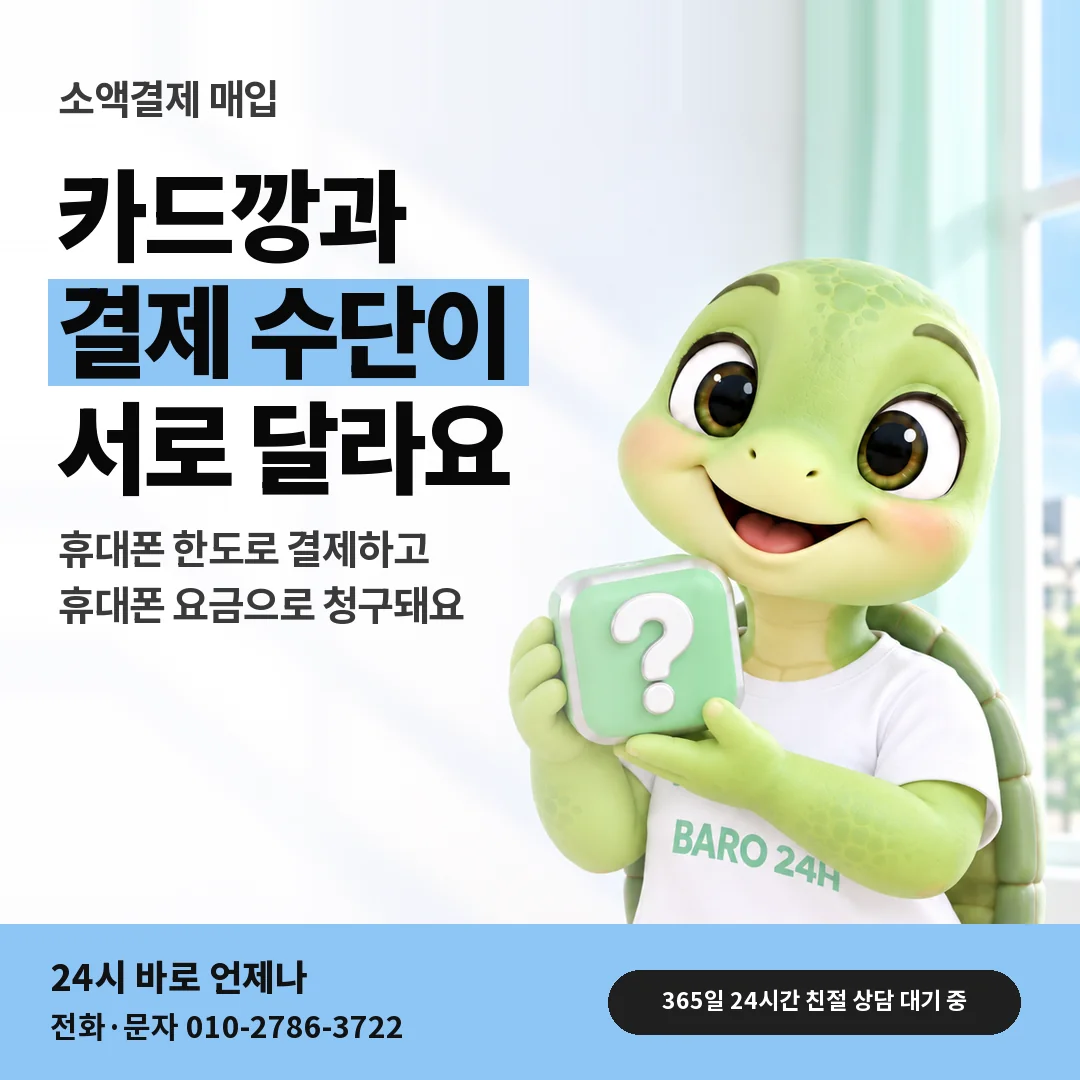 물음표 상자를 든 BARO 24H 티셔츠를 입은 3D 거북이 캐릭터 옆에 「카드깡과 다른 점」 제목을 얹은 안내 카드